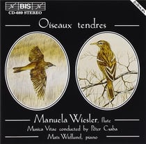 Oiseaux tendres