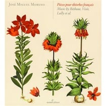 Pièces pour théorbes français