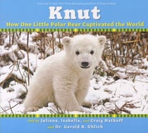 KNUT: HOW ONE LITTLE POLAR BEAR CAPTIVATED THE WORLD