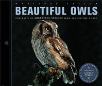 Beautiful owls