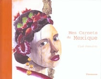 Mes carnets du mexique
