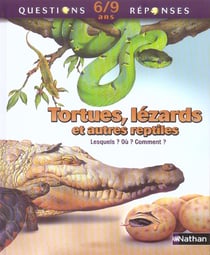 Tortues lezards autres reptile