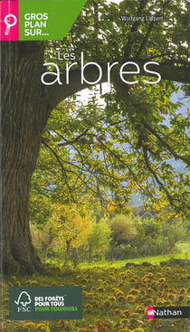 Gros plan sur : les arbres