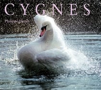 Cygnes