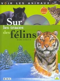 Sur les traces des félins