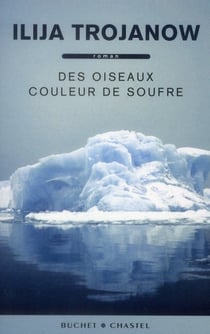 Des oiseaux couleur de soufre