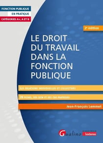 Le droit du travail dans la fonction publique : Les relations individuelles et collectives (2e édition)