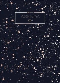 Agenda 2020 - planificateur, organiseur et calendrier 2020 - agenda journalier et agenda semainier - agenda de poche