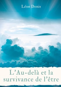 Théosophie et anthroposophie Tome 2 - l'au-delà et la survivance de l'être - une lecture philosophique, théosophique, et spirite, de la vie après la mort