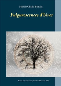 Fulgurescences d'hiver : recueil de textes courts (décembre 2020 - mars 2021)