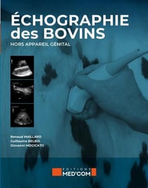 Échographie des bovins hors appareil génital