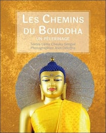 Les chemins du bouddha - un pèlerinage
