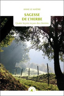 Sagesse de l'herbe - quatre leçons reçues des chemins