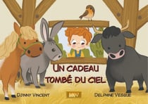 Un cadeau tombé du ciel (Kamishibai)