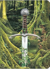 Cahier brocéliande