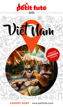 Country guide : Viet Nam (édition 2025)
