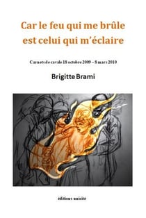 Car le feu qui me brûle est celui qui m'éclaire : carnets de cavale 18 octobre 2009 - 8 mars 2010