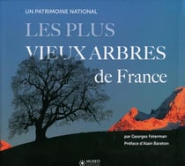 Les plus vieux arbres de france