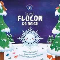 Le petit flocon de neige