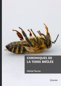 Chroniques de la terre brûlée