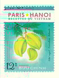 Paris-Hanoï - recettes du Vietnam