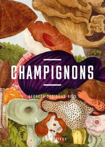 Champignons : Secrets des sous-bois