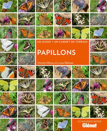 Papillons