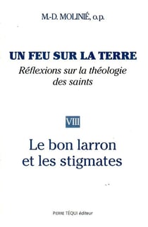 Un feu sur la terre - Tome 8 : Le Bon Larron et les stigmates