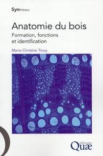 Anatomie du bois - formation, fonctions et identification