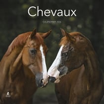 Chevaux (édition 2026)