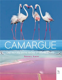 Camargue, une histoire entre Rhône et Méditerranée