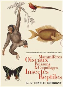 Les planches du dictionnaire d'histoire naturelle - coffret