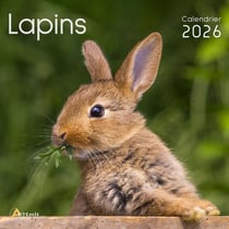 Lapins (édition 2026)