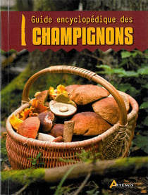 Champignons