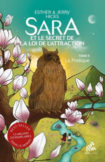 Sara et le secret de la loi de l'attraction Tome 2 : La pratique