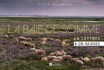 La baie de Somme - en lettres et en images