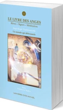 Le livre des anges - un monde qui déboussole