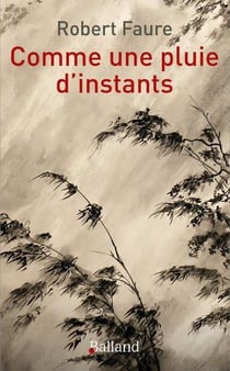 Comme une pluie d'instants