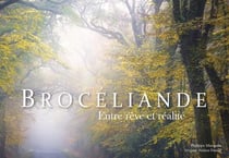 Brocéliande entre rêve et réalité