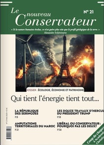 LE NOUVEAU CONSERVATEUR N°21 : Qui tient l'énergie tient tout...