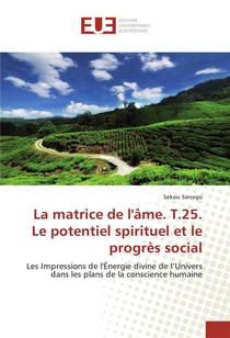 La matrice de l'âme t.25 - le potentiel spirituel et le progrès social - les impressions de l'énergie divine de l'univers dans les plans de la conscience humaine