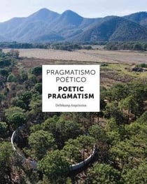 Dellekamp arquitectos: poetic pragmatism