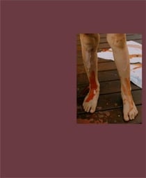 Lisa Sorgini : In-passing