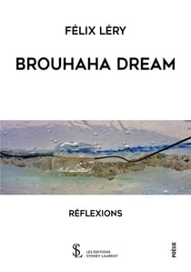 Brouhaha dream - reflexions