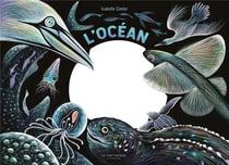 L'océan, une nuit...