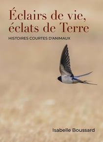 Éclairs de vie, éclats de Terre