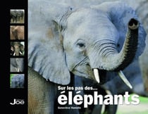 SUR LES PAS DES ELEPHANTS.