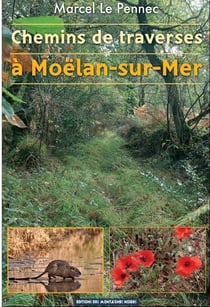 Chemins de traverses à moëlan-sur-mer