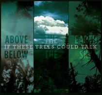 Above the earth, below the sky