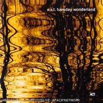 Tuesday wonderland